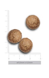 Amanova Adult kana & kvinoa aikuisille kissoille low grain