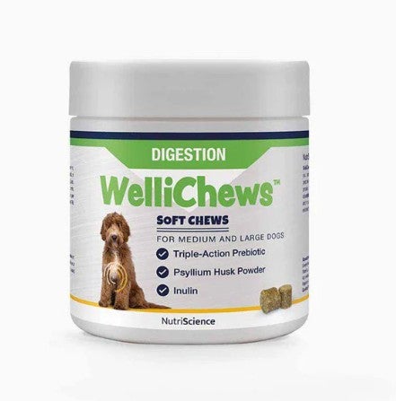 Wellichews Digestion medium & large breed 60 kpl